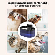 Dispenser de Apa Automat Tip Fantana Xenomo® AQUASYNC