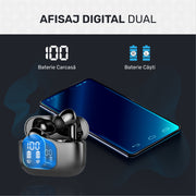 afisare duala digitala