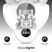 Afisaj digital