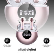 Afisaj digital