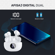 afisaj digital dual