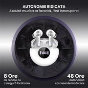 autonomie ridicata