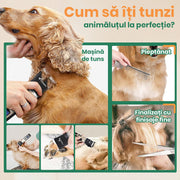 cum sa iti tunzi animalutul la perfectie
