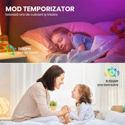 modul temporizator